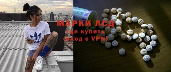 гашик Нефтекумск