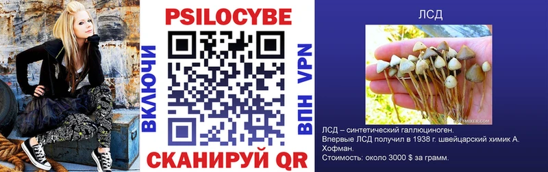 Псилоцибиновые грибы MAGIC MUSHROOMS  Арсеньев 