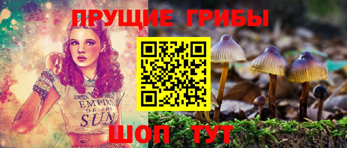 Галлюциногенные грибы прущие грибы Арсеньев
