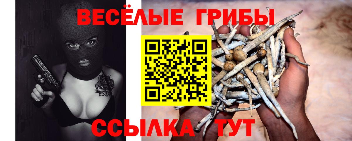 Галлюциногенные грибы мухоморы Арсеньев