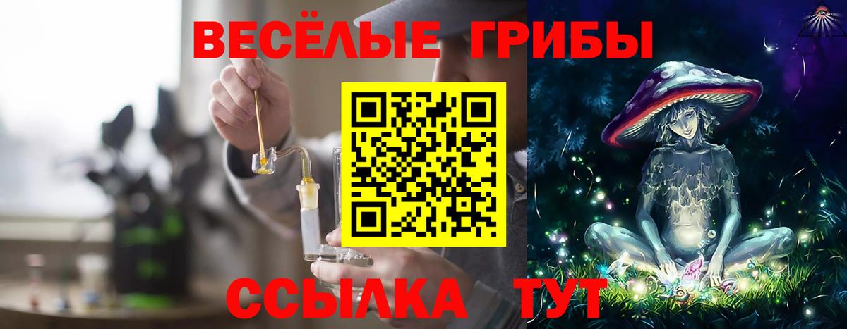 Арсеньев  Псилоцибиновые грибы прущие грибы  Вход с VPN 